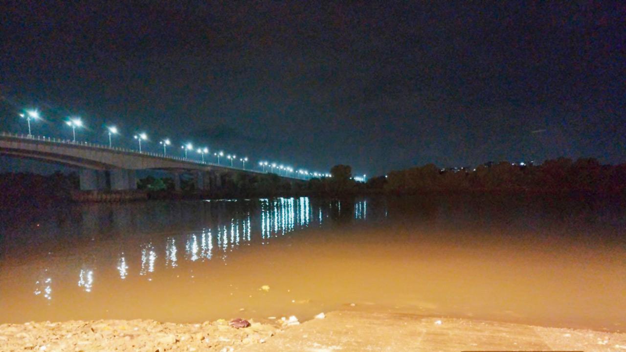 A natural site at Mothagaon creek, Dombivli West