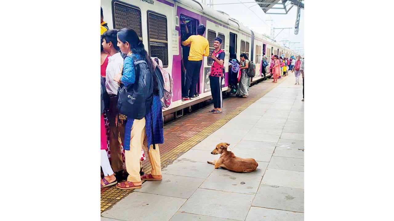 Passengers board a packed train at Kelavli station