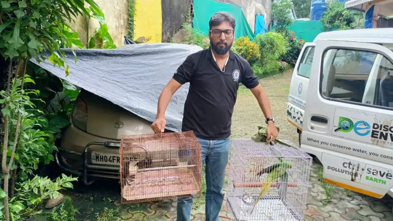Maharashtra Forest Department confiscates protected birds from Uttan residence