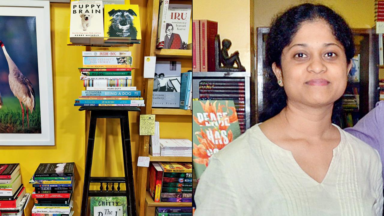 The collection at the entrance