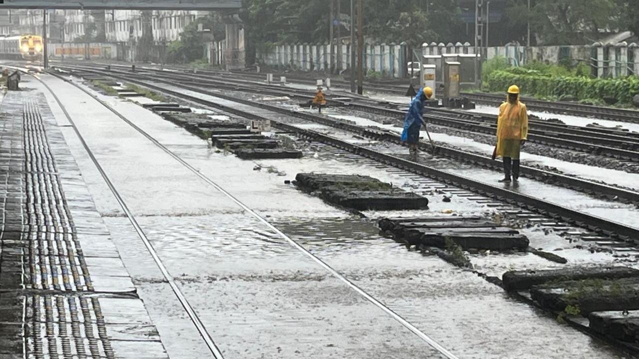 The Brihanmumbai Municipal Corporation (BMC), in a statement on Tuesday morning, announced the closure as a precautionary measure, in view of the continuous heavy rains in the city and suburbs and the 'red alert' warning issued by the IMD