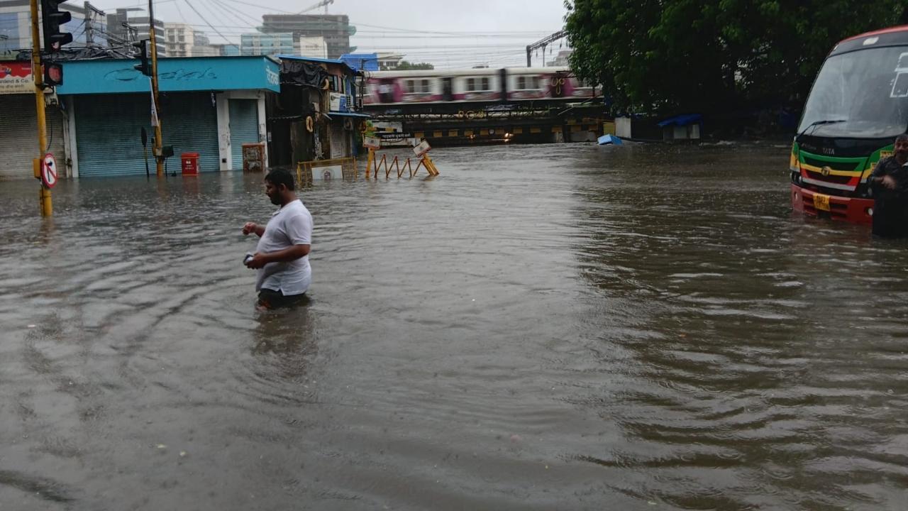 The Directorate of Higher Education has declared a holiday for all senior colleges in the Konkan region of Maharashtra. The order applies to colleges in Palghar, Thane, Raigad, Ratnagiri and Sindhudurg districts