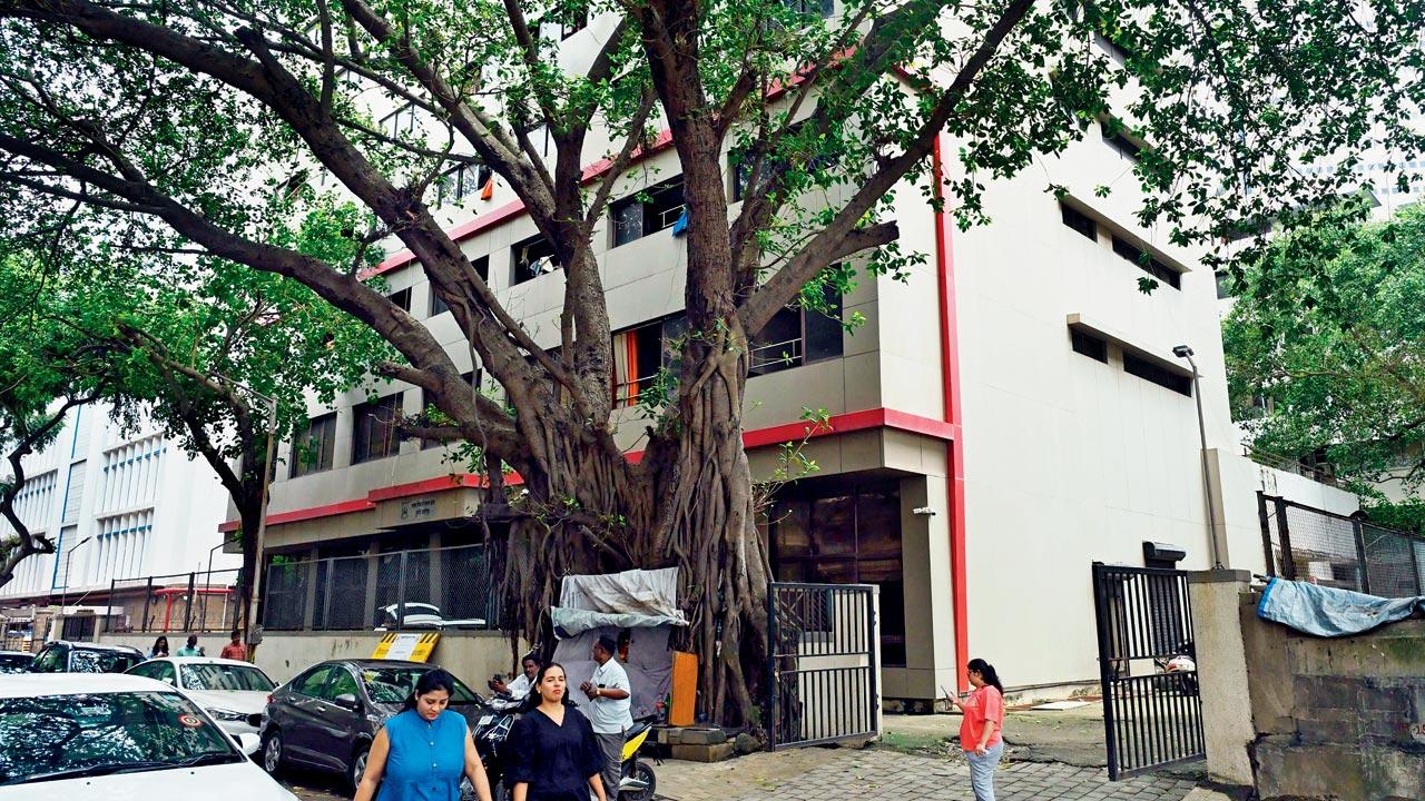 MU shifts PhD scholars to far-off hostel, curfew hampers research and lectures
