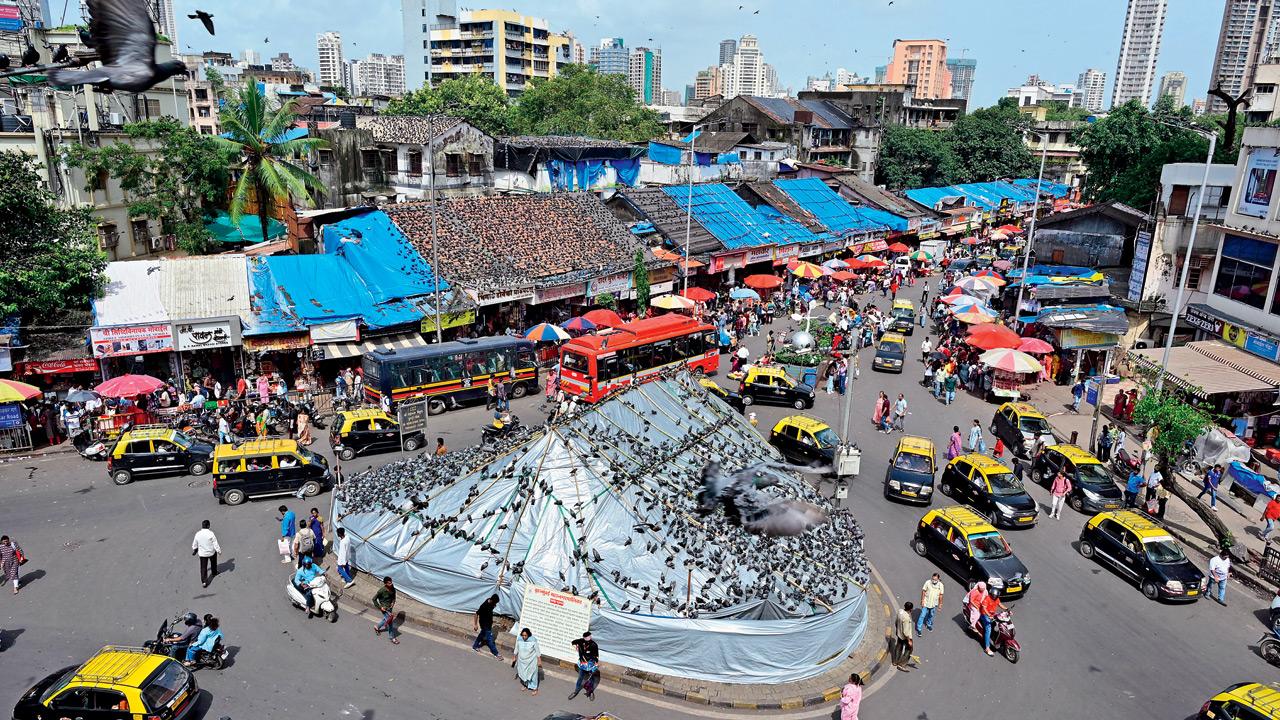 Jain community protests pigeon feeding ban with maha-pooja, dead bird collection