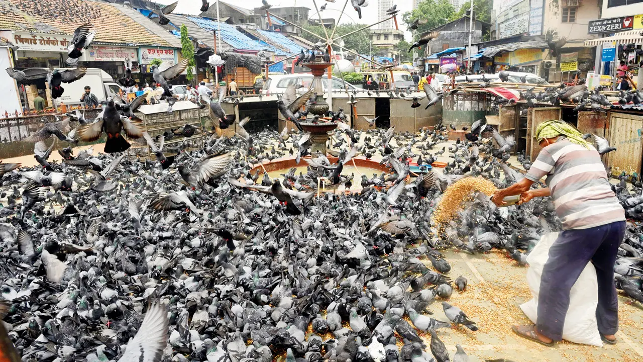 Who cares about Mumbaikars!