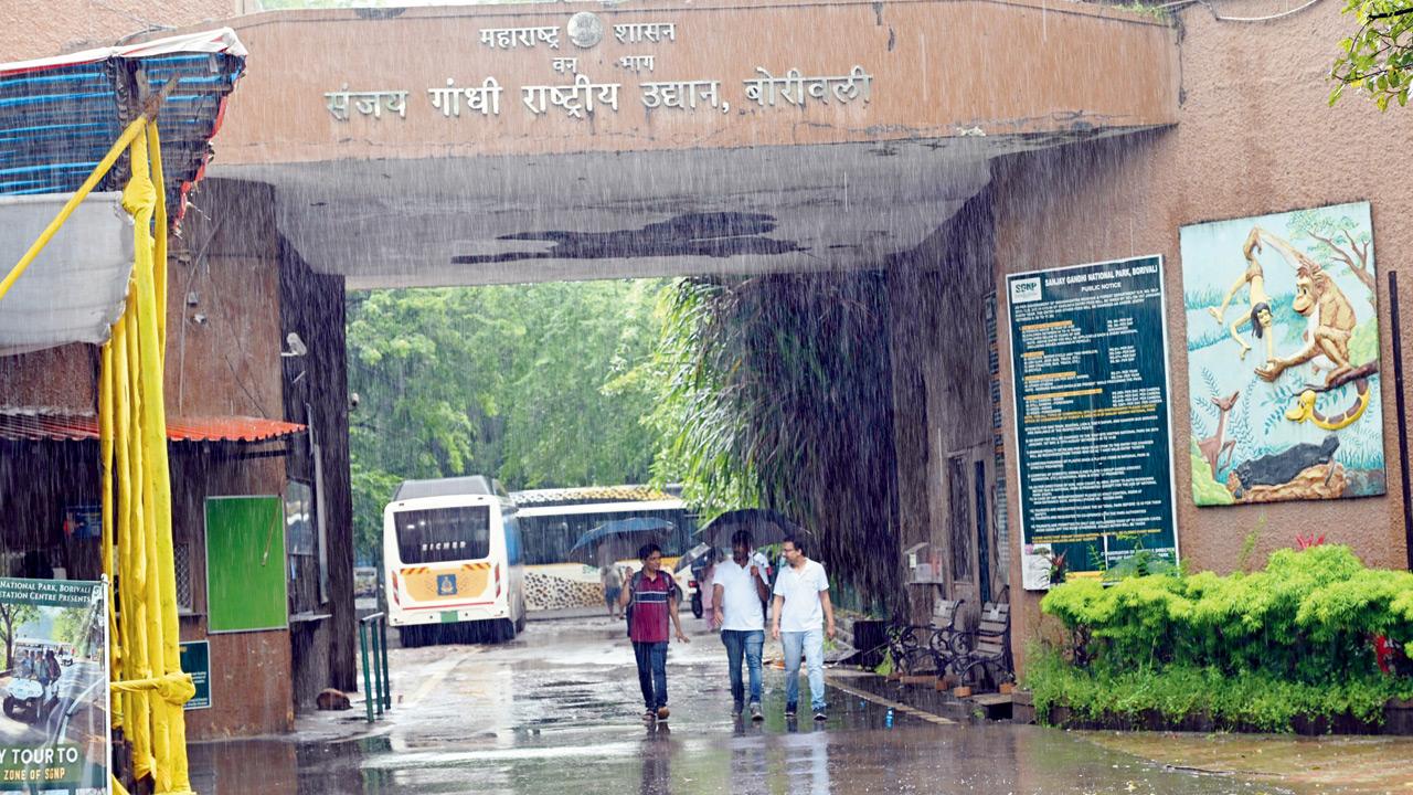 Mumbai: Activists slam SGNP for letting noisy visitors to bathe in park’s rivers