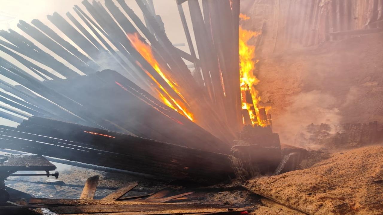 The yard, owned by a man named Salim Ali, spans approximately 3,500 square feet