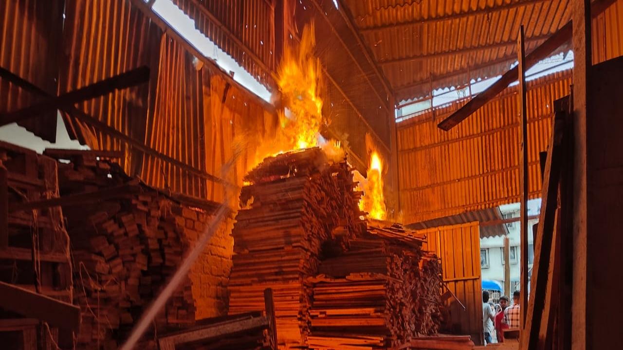 Extent of damages from the Mumbra timber yard fire still unknown