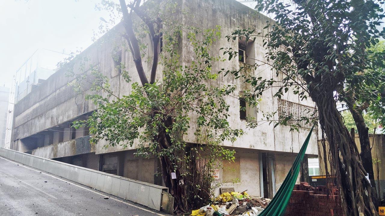 Multiple trees to be axed in BMC’s backyard, civic officials worried