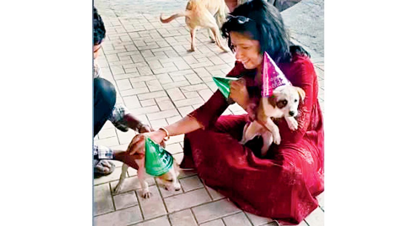 Yogita Narvekar plays with strays. Pics Courtesy/@palfoundation.in