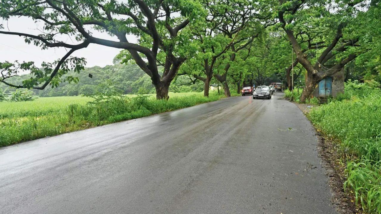 Mumbai News LIVE Updates: Trouble deepens for Aarey tribals as eviction looms