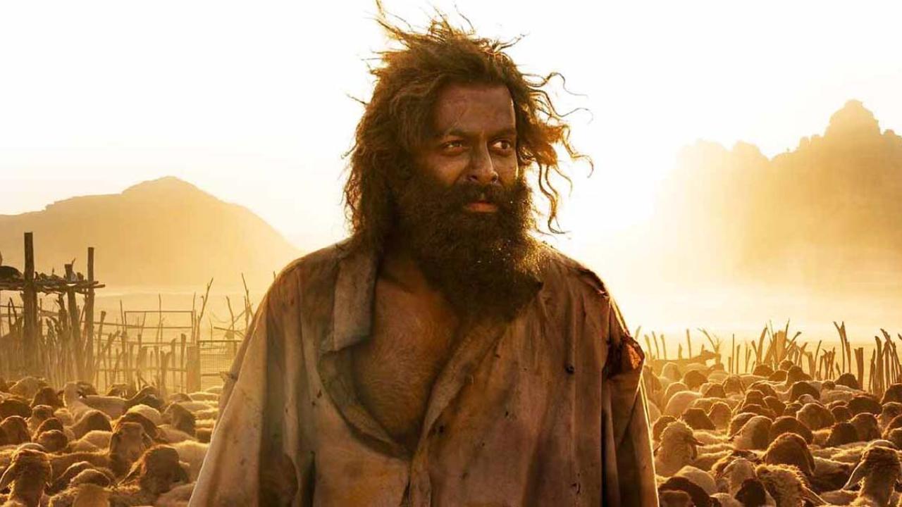 71st National Film Awards: Why Prithviraj's Aadujeevitham got snubbed?