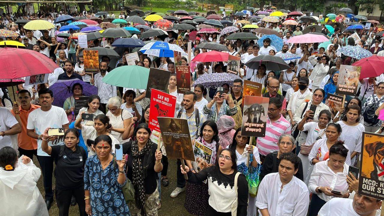 IN PHOTOS: Azad Maidan becomes the voice for Delhi’s voiceless street dogs
