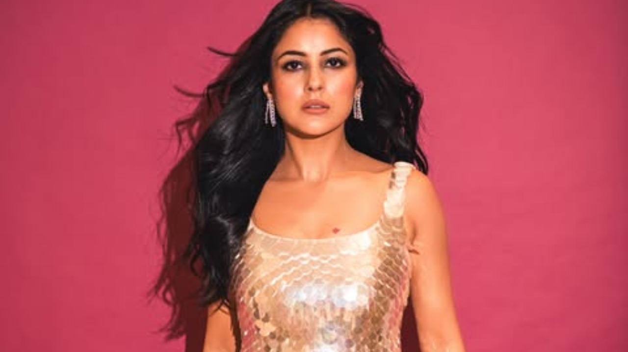 Shehnaaz Gill- Tagged as Punjab Ki Katrina Kaif, Shehnaaz is one of the most memorable contestant in the history of Bigg Boss. The show opened doors of new opportunities for her which included being a part of prominent films like Kisi Ka Bhai Kisi Ki Jaan and Thank You For Coming. 