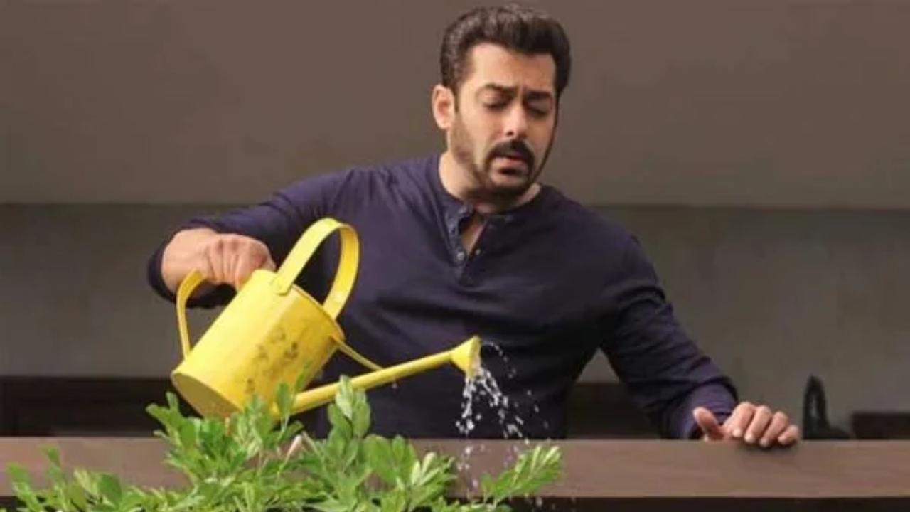 Bigg Boss 11- This season, Salman Khan hosted show saw the theme of padosi wherein contestants will be divided into two houses and asked to keep an eye on each other, just like typical neighbours. 