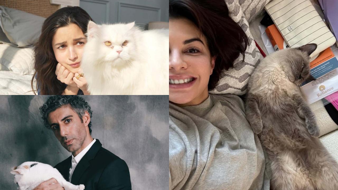 In Pics: Jim Sarbh to Alia Bhatt, celebrities who are cat parents
