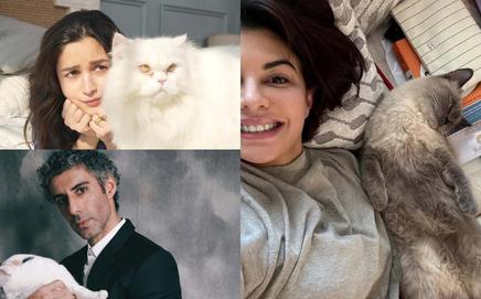 International Cat Day 2025