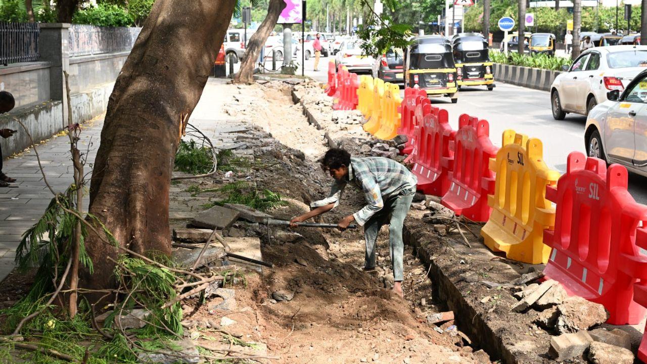 <p>Several underutilised cycle tracks across BKC will be repurposed into vehicular lanes to expand existing road widths, the MMRDA stated</p>