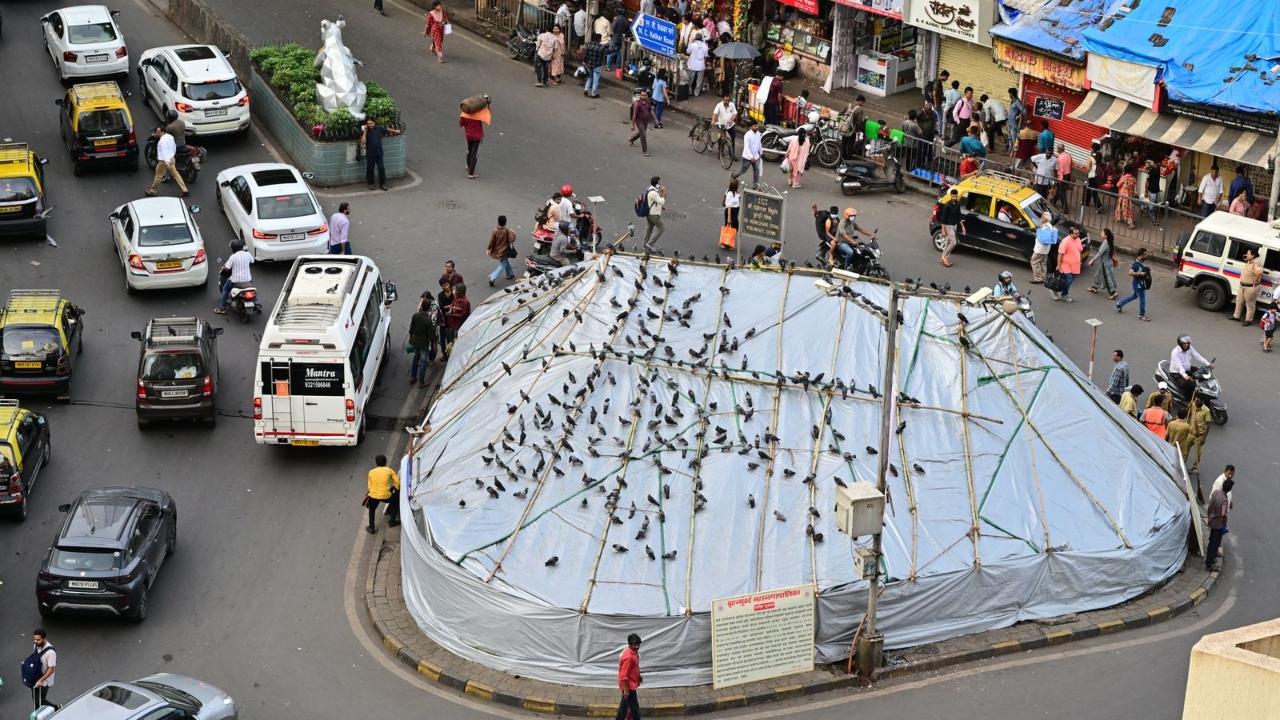 BMC officials had on Sunday covered the Kabutarkhana, a grade II heritage structure in Dadar, with a tarpaulin sheet
