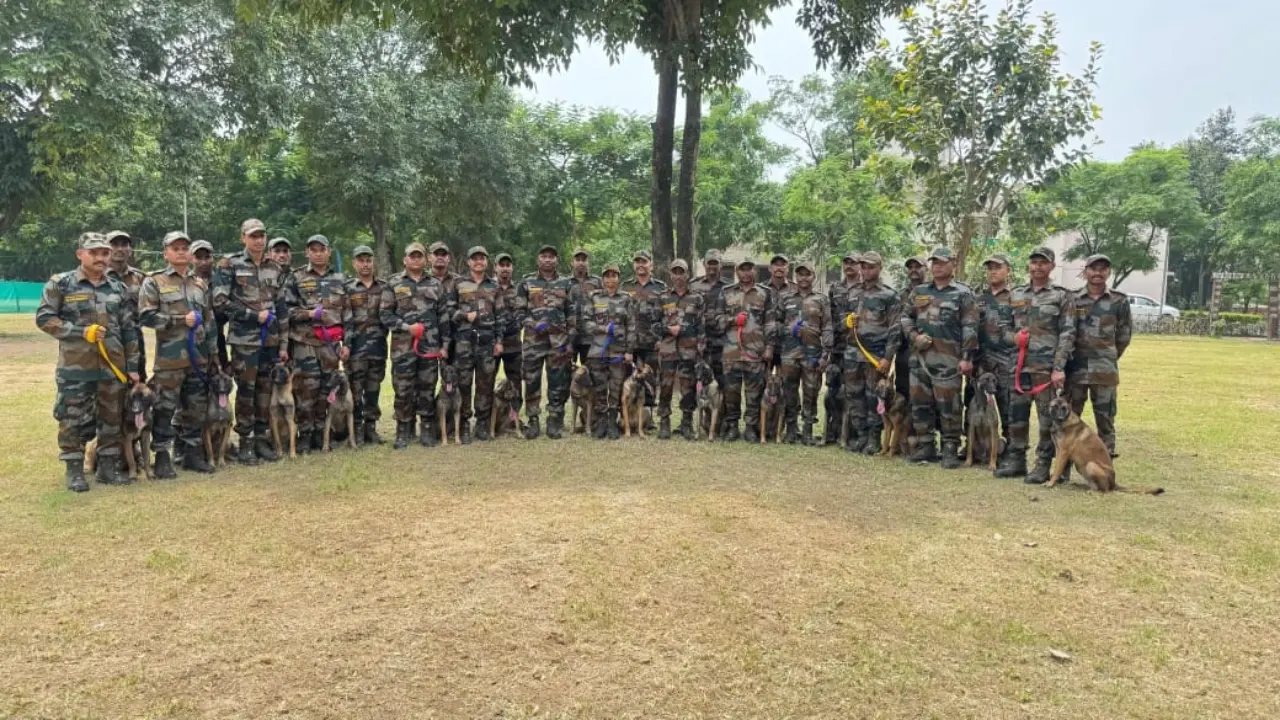 Fourteen wildlife sniffer dogs join anti-poaching operations across India