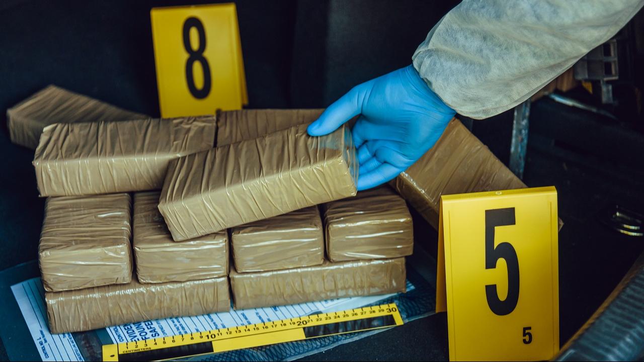 Rs 14.73 cr marijuana seized from ‘diplomatic’ cargo; man held at Mumbai airport