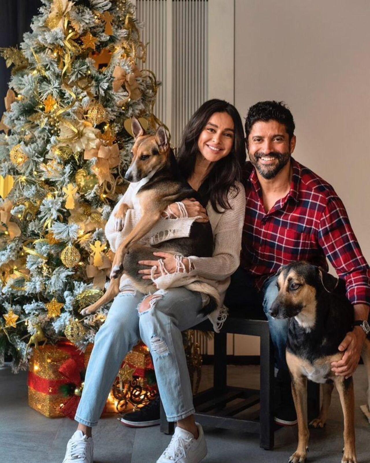 This picture from their Christmas celebrations with their pets simply screams one word - 