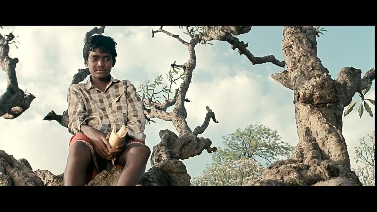 Fandry, directed by Nagraj Manjule, follows the story of 13-year-old Jabya who is the only Dalit boy in the village, and so he lives in the outskirt and is offered jobs that are deemed unclean by the society. He falls in love with Shalu, an upper-class girl. However, he never confesses the feelings as society will rebel against it.