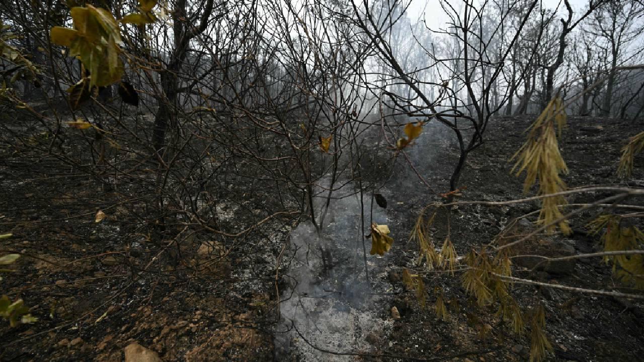 IN PHOTOS: One dead, over 1,000 displaced in massive wildfire in southern France
