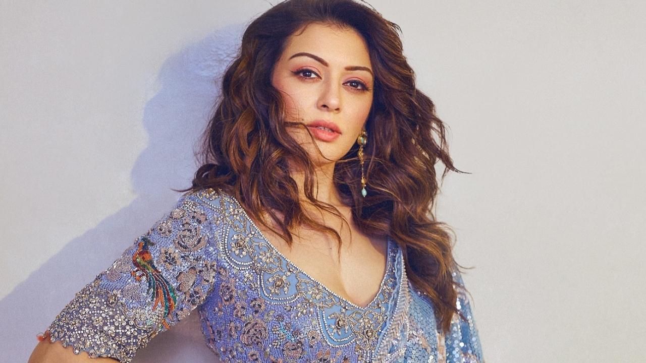 Hansika Motwani shares cryptic note on lessons learnt amid divorce rumours