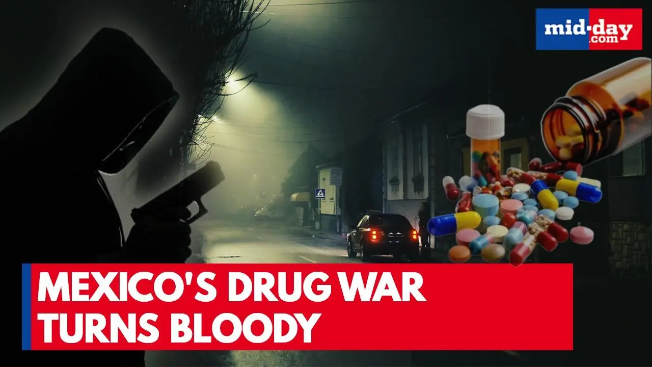 Mexico Horror: Six Severed Heads Found on Highway; Trump Pushes for Military Act