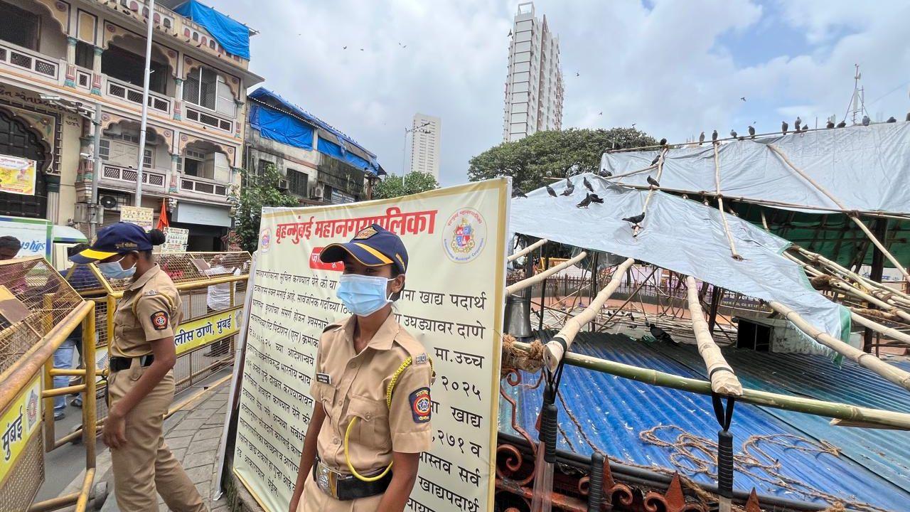 The Brihanmumbai Municipal Corporation (BMC) has reiterated that alternative arrangements for feeding pigeons are being considered so that cultural sentiments are respected without compromising public health