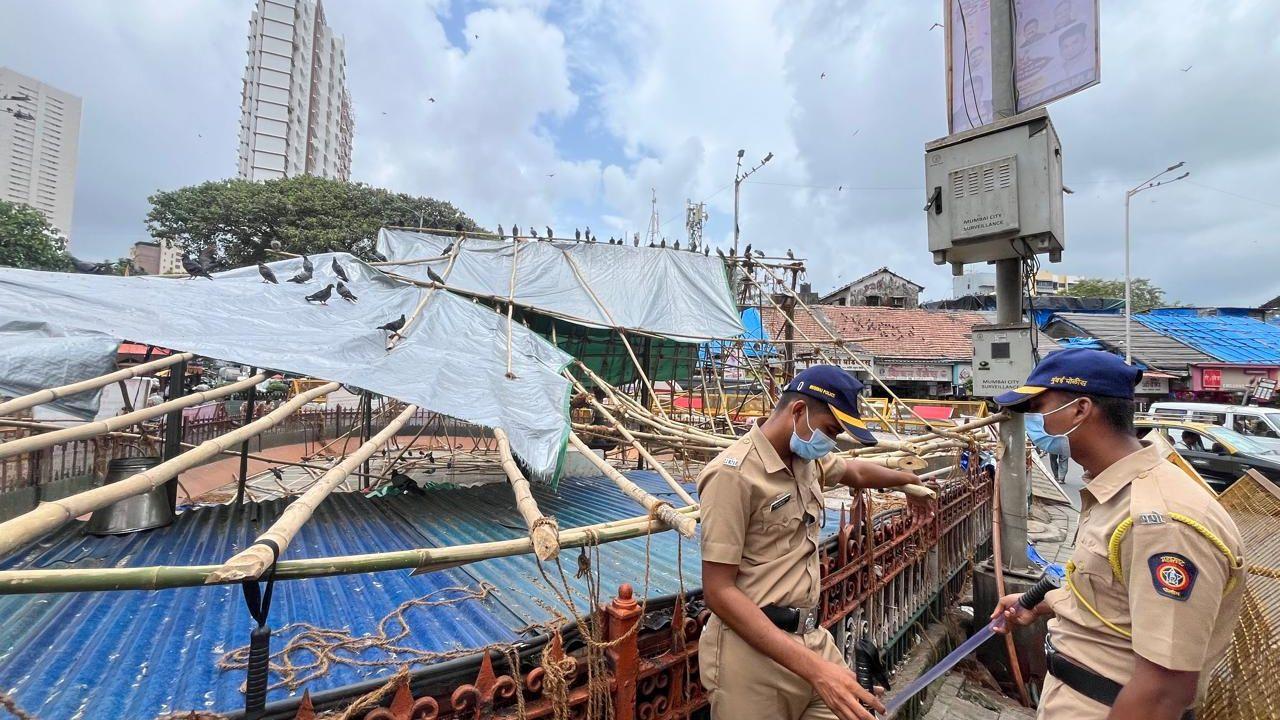 Recently, the state government’s measures to regulate or relocate pigeon feeding, citing concerns related to public health, hygiene, and urban cleanliness, have sparked both support and opposition from different sections of society