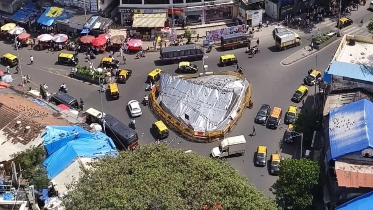 Intend to allow feeding of pigeons for 2 hours at Dadar Kabutarkhana: BMC to HC