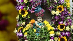 IN PHOTOS | Mumbai: Devotees celebrate Shri Krishna Janmotsav at Borivali Mandir