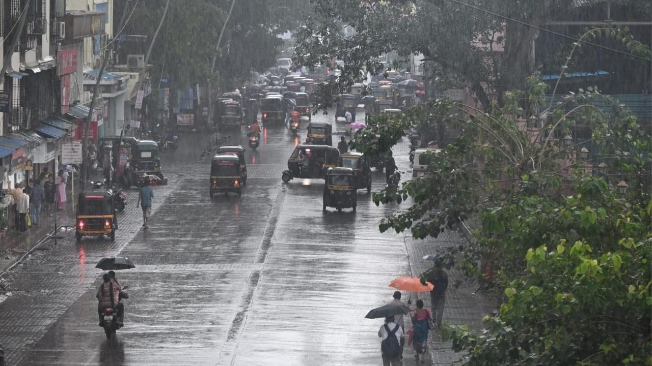 Yellow alert for I-Day weekend: IMD predicts rain in Mumbai, Thane and Palghar