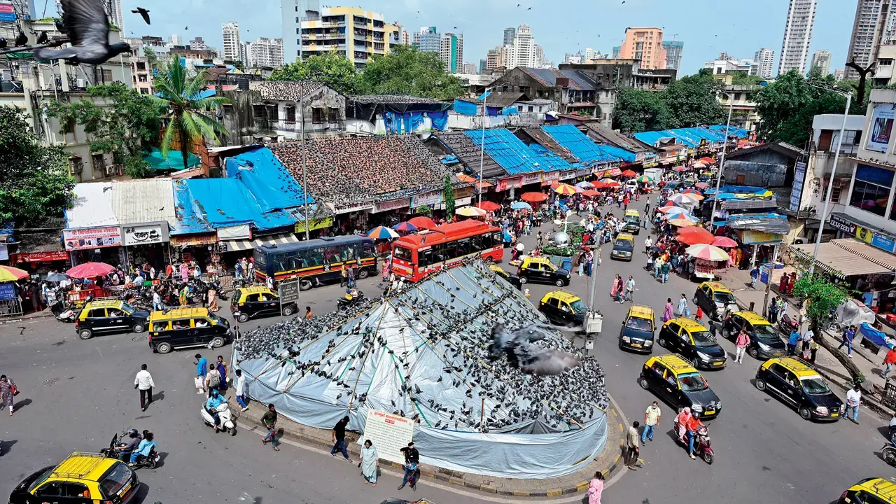 Mumbai LIVE:Jain community protests closure of Dadar kabutarkhana