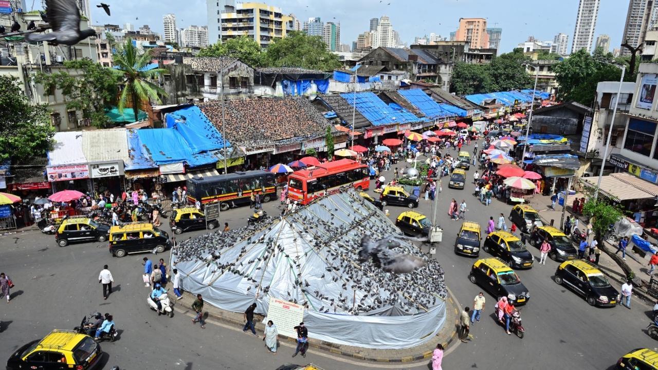 IN PHOTOS: BMC covers Dadar Kabutar Khana in Mumbai amid pigeon feeding ban