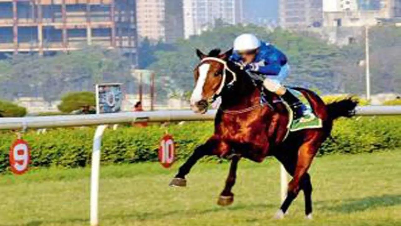 Siege Courageous for Yohan Z Poonawalla Turf Club Trophy (Gr 3)