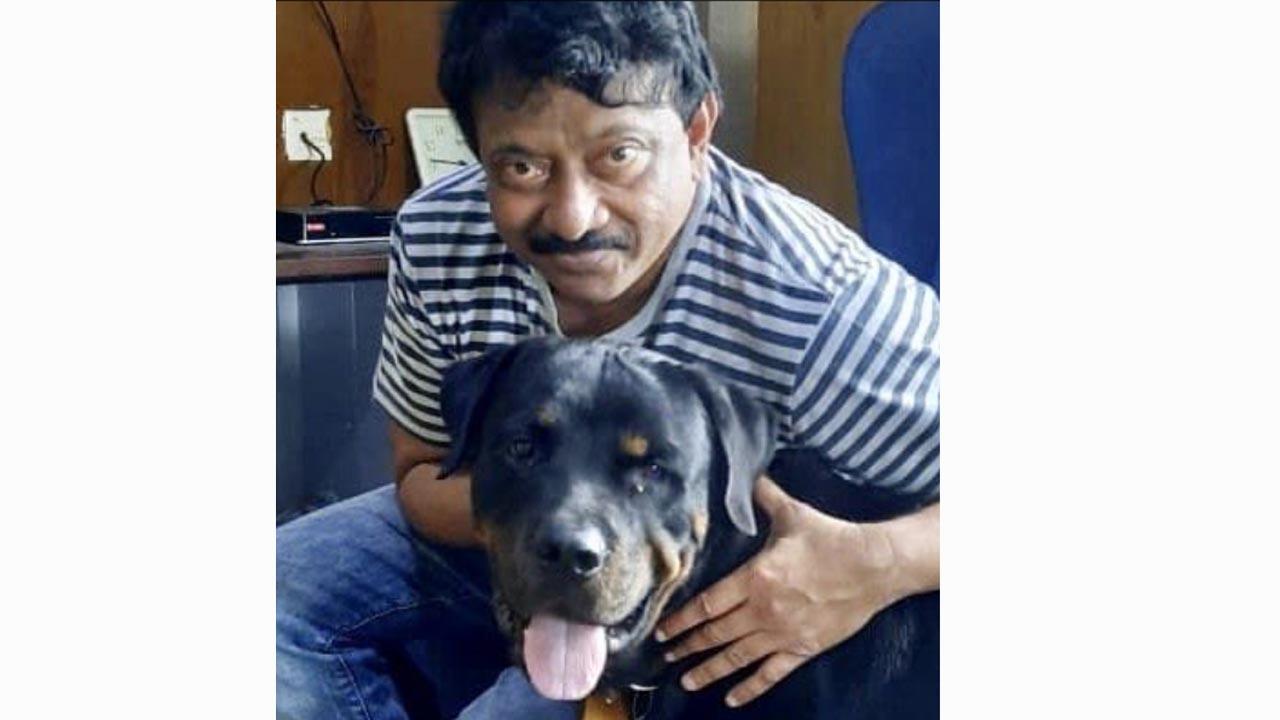 Ram Gopal Varma recomments practical steps to fix stray dog problem