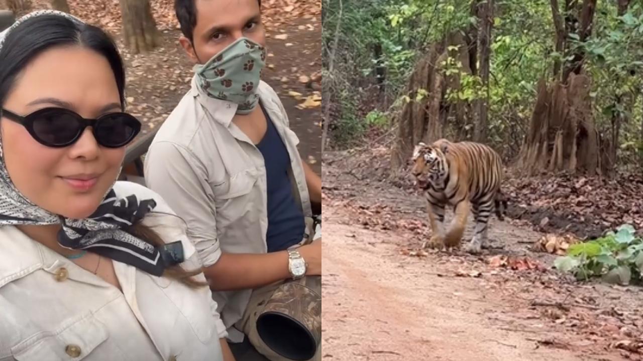 The actor has an equally adventurous wife, who also loves exploring. From going on jeep rides to capturing the serene wildlife at the jungle, the actors dished out major couple goals. 