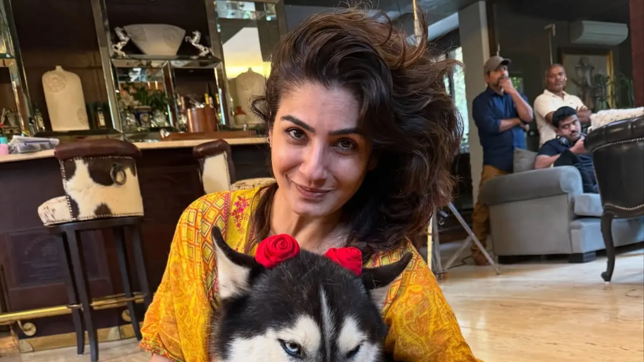 Raveena Tandon blames local bodies for rise in stray dogs population
