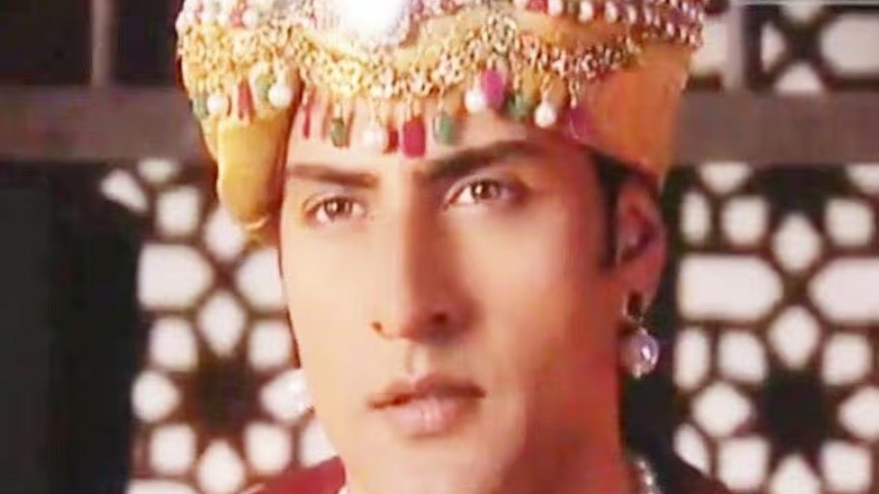 Jhansi ki Rani
In this period drama, he essayed Yuvraj, the foreign-returned young prince of the Moth province.