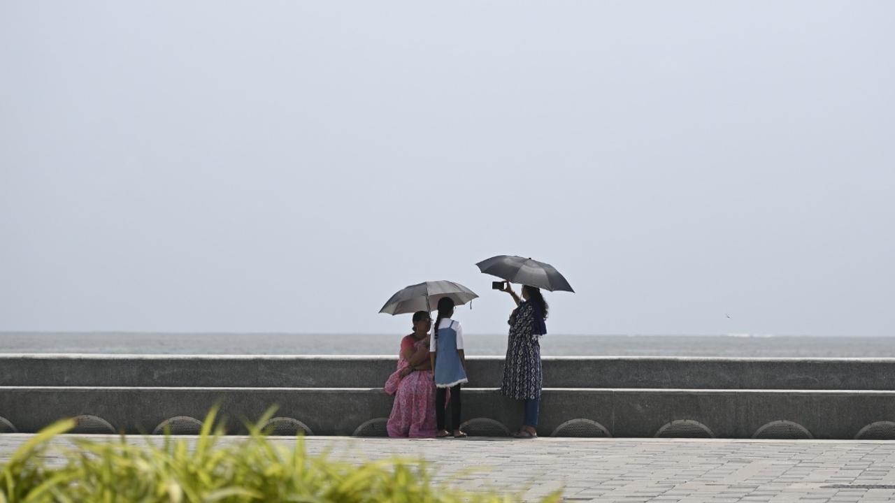 IN PHOTOS: Mumbai experiences bright and sunny afternoon
