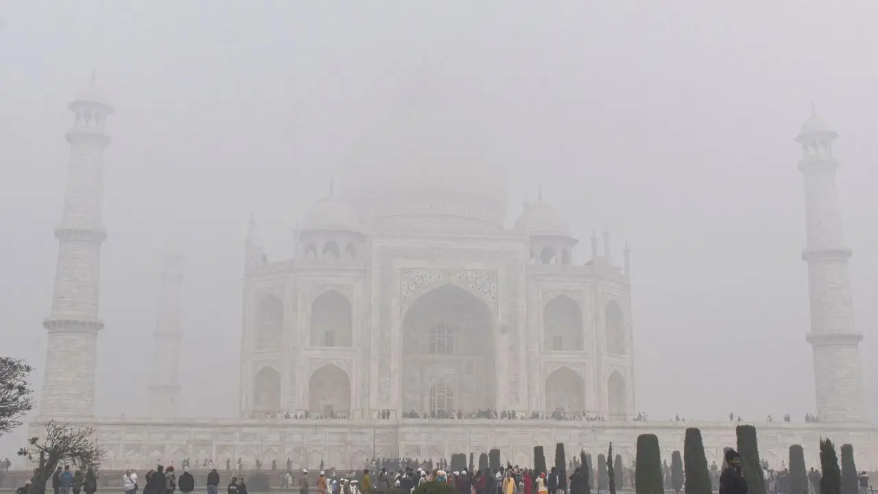 IN PHOTOS: Dense fog and cold wave disrupt life across North India