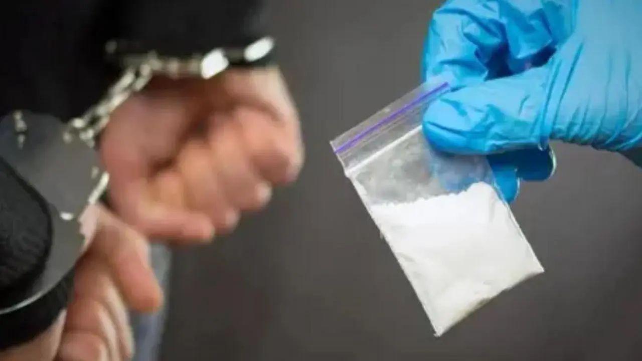 Mumbai LIVE: Hydroponic weed worth Rs 48 crore seized at Mumbai airport; 8 held