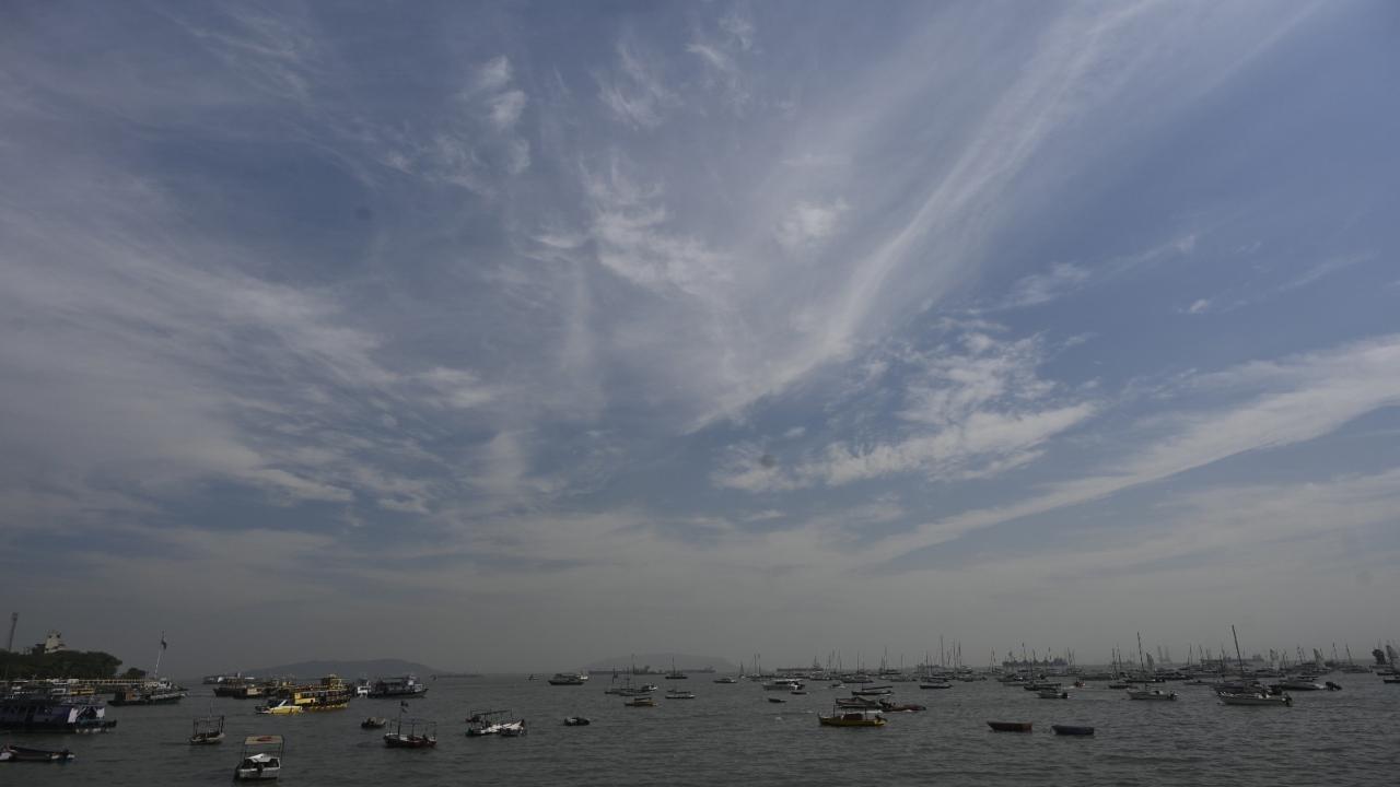 Meanwhile, the AQI in Bandra-Kurla Complex (106), Byculla (114), Ghatkopar (111), Bandra East (116), Malad West (119), Colaba (117), and Sion (115) remained in the 'moderate' category