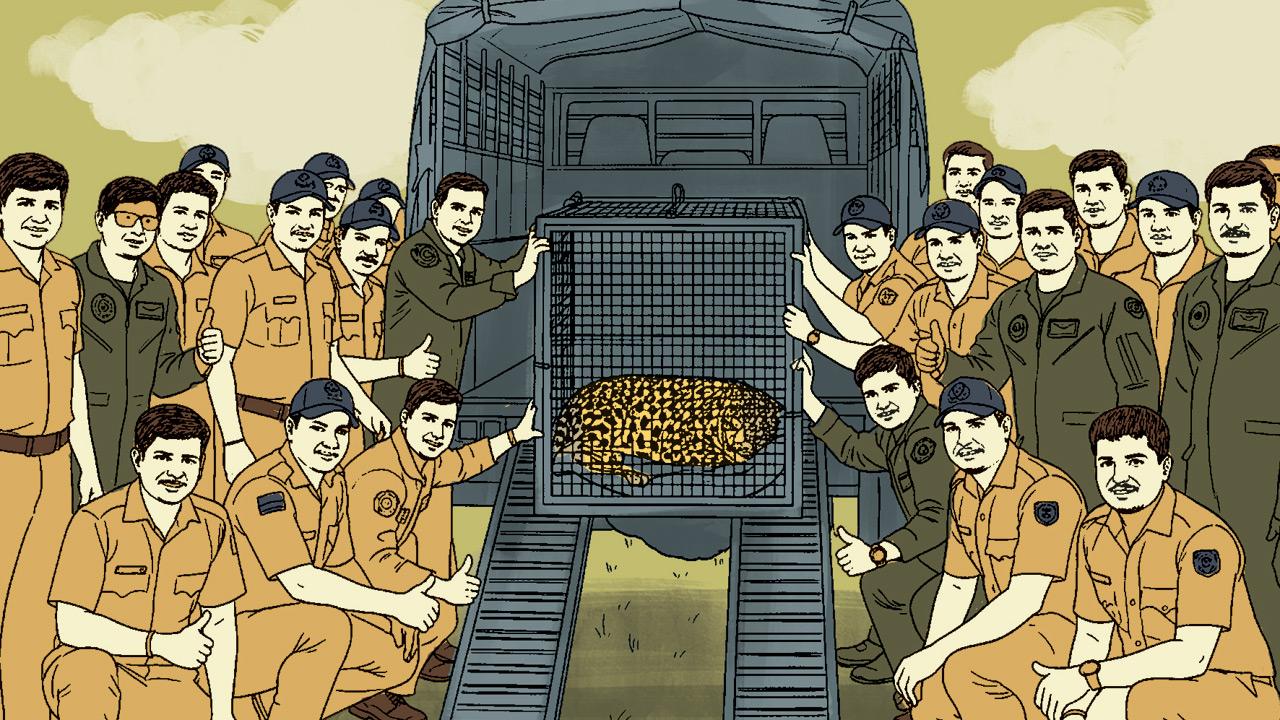 The leopard was extracted and transported to the Transit Treatment Centre in Bavdhan, where it is recovering well and remains under supervision. The capture underscores the importance of planned, evidence-based wildlife operations in complex urban ecosystems.