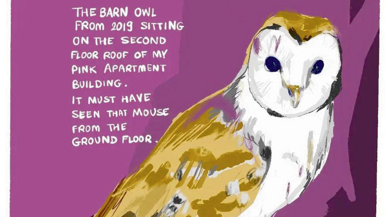 An illustration of a Barn Owl by Ashvini Menon. Pics courtesy/ Ashvini Menon