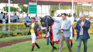 Baychimo sweeps past field to win 2000 Guineas (Gr 1)