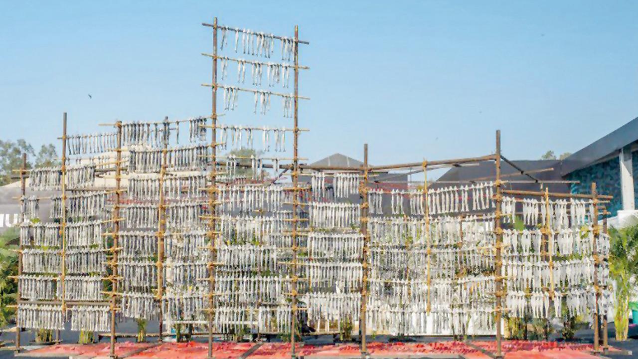 Parag Tandel’s installation. Pic Courtesy/PARAG TANDEL, Tarq